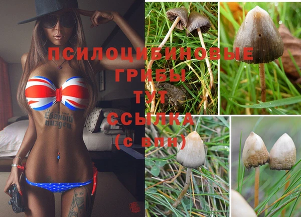 твердый Белоозёрский